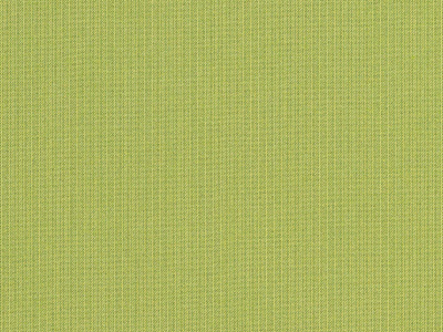 Spectrum Kiwi - Sunbrella - Cushion.com